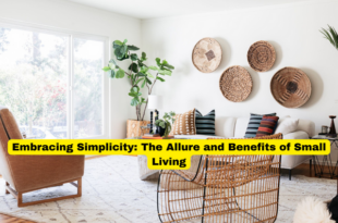 Embracing Simplicity The Allure and Benefits of Small Living