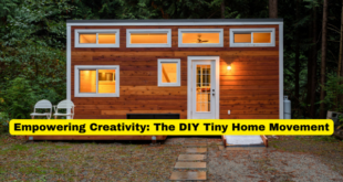 Empowering Creativity The DIY Tiny Home Movement