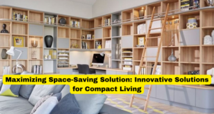 Maximizing Space-Saving Solution Innovative Solutions for Compact Living