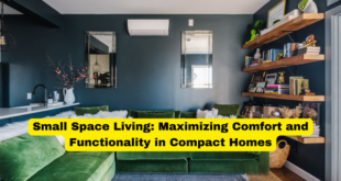 Small Space Living Maximizing Comfort and Functionality in Compact Homes