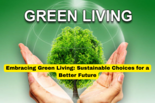 Embracing Green Living Sustainable Choices for a Better Future