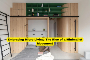 Embracing Micro Living The Rise of a Minimalist Movement