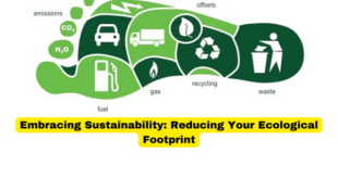 Embracing Sustainability Reducing Your Ecological Footprint