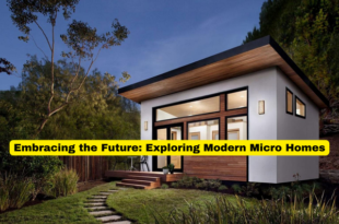 Embracing the Future Exploring Modern Micro Homes