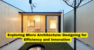 Exploring Micro Architecture Designing for Efficiency and Innovation